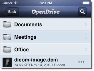 OpenDrive for iPhone