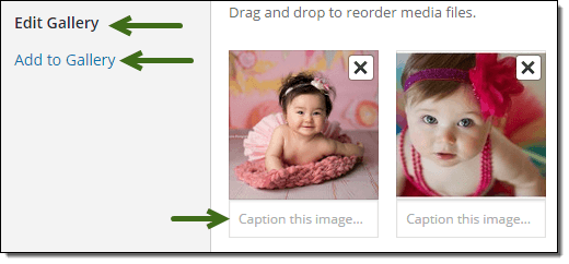 Edit Image Gallery Options